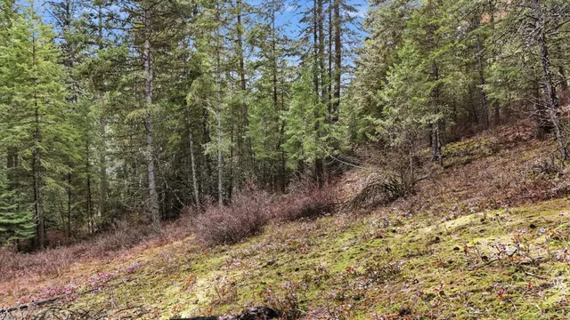 $75,000 | Nka North Mt Spokane Park Drive, Mead, WA 99021