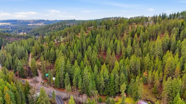 $75,000 | Nka North Mt Spokane Park Drive, Mead, WA 99021