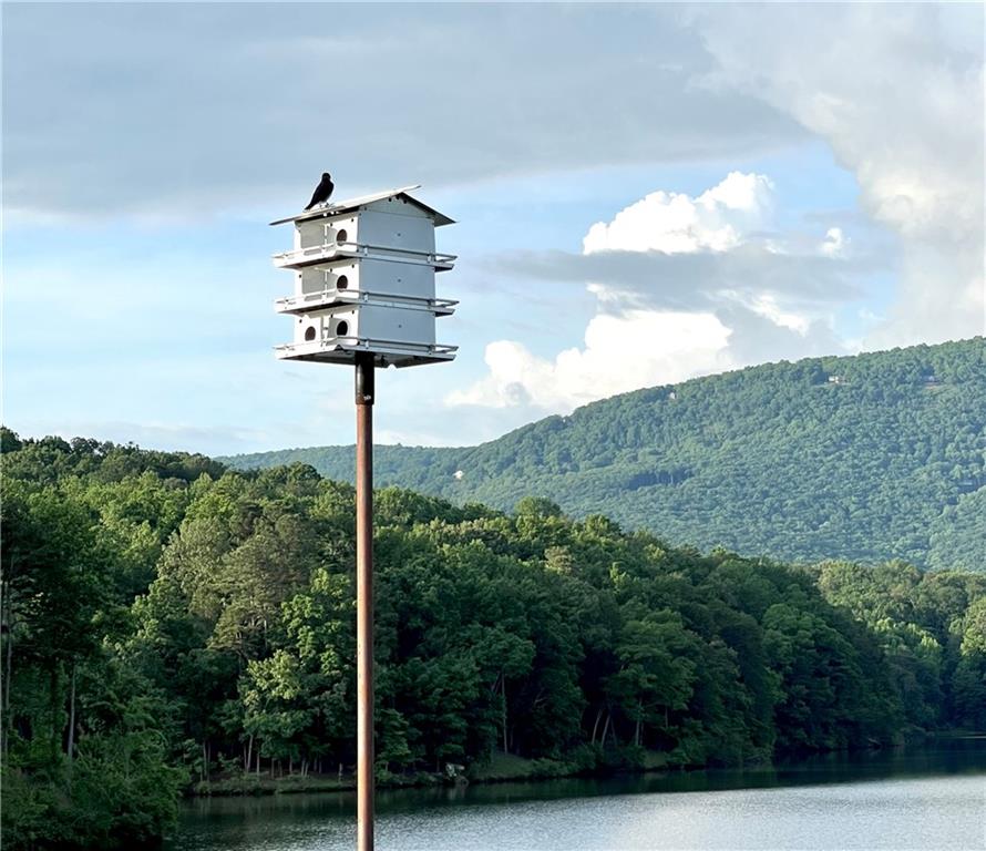223 Denny Ridge Road Jasper, GA 30143 - Photo 40 of 54 a view of a street with a building in the background
