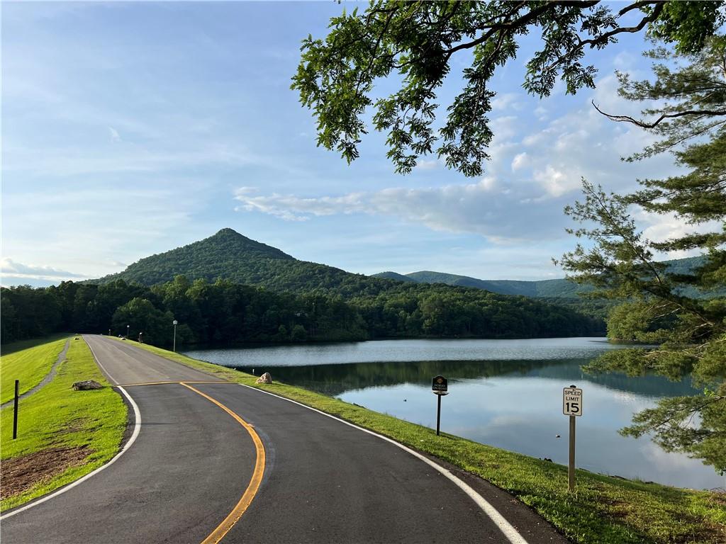 223 Denny Ridge Road Jasper, GA 30143 - Photo 52 of 54 a view of a swimming pool with a lake view