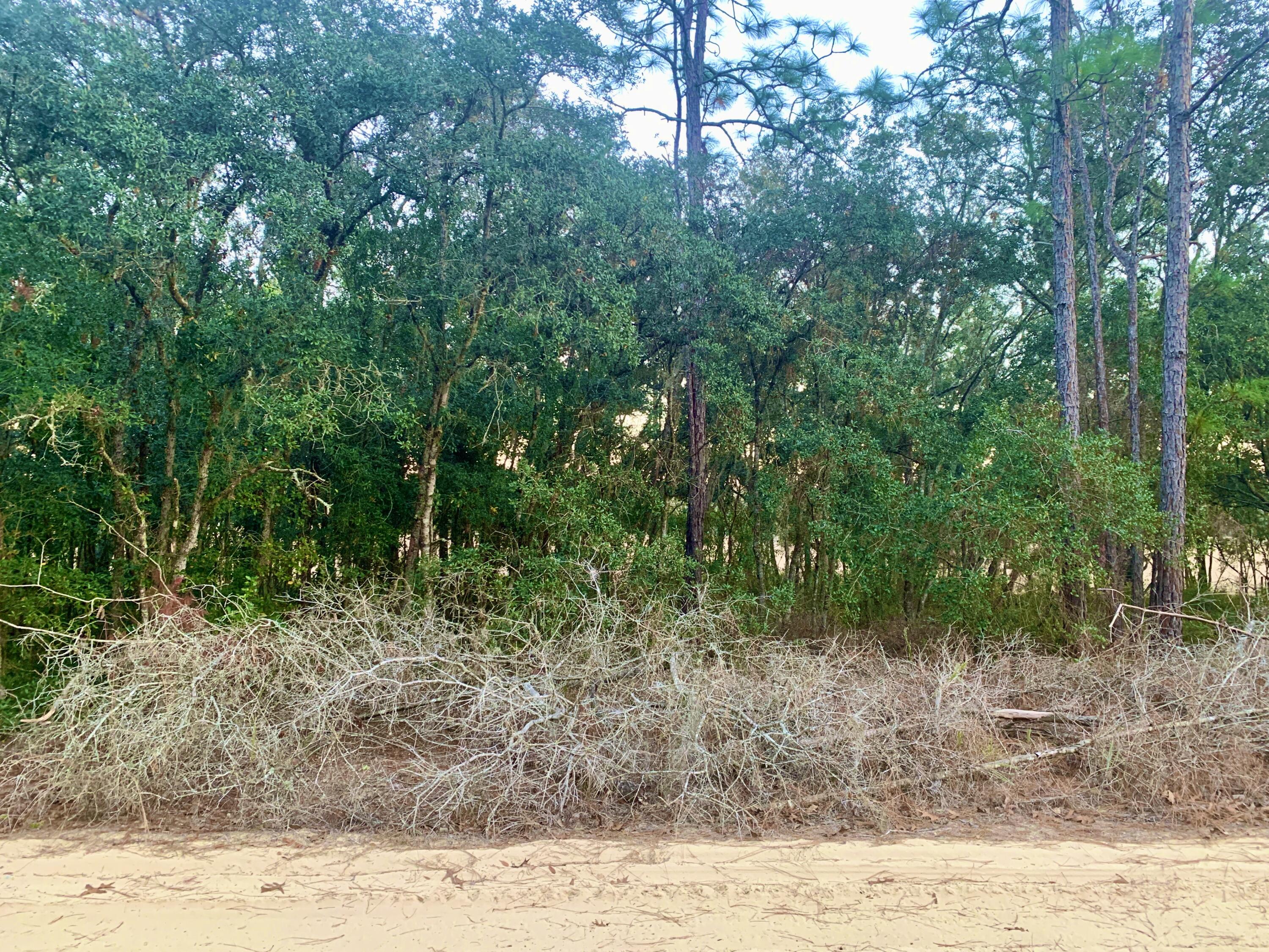 301 South Crestview Avenue Inverness, FL 34452 - Photo 1 of 2 IMG_1765