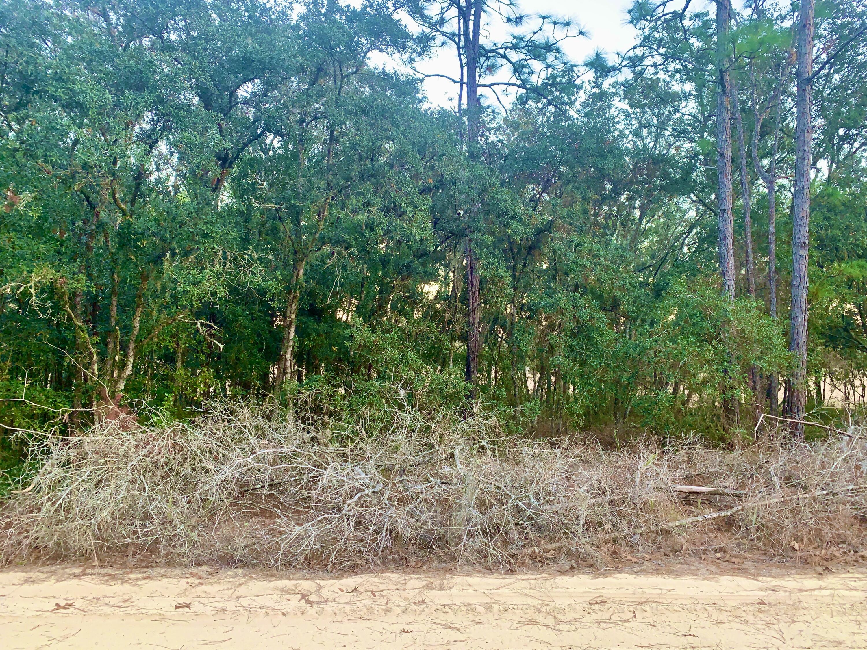 301 South Crestview Avenue Inverness, FL 34452 - Photo 2 of 2 IMG_1764