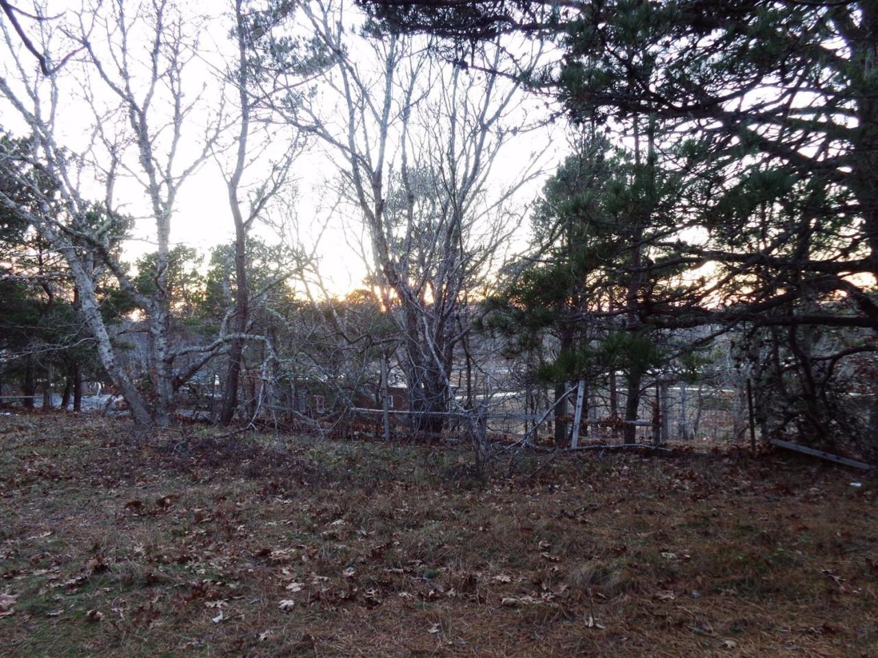 45 Uplands Drive Wellfleet, MA 02667 - Photo 33 of 35 a view of backyard with green space