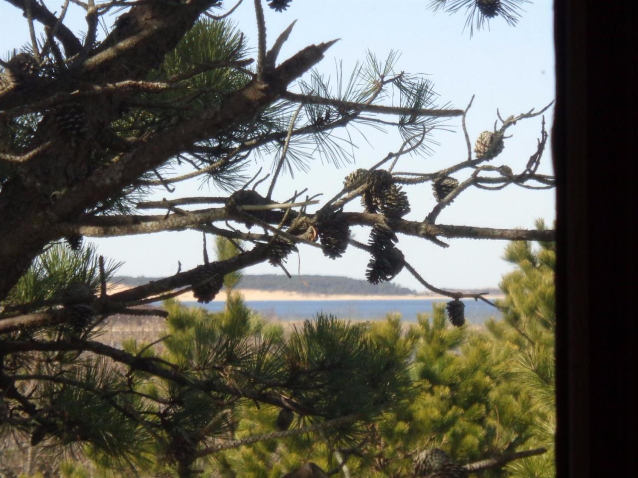 45 Uplands Drive Wellfleet, MA 02667 - Photo 6 of 35 a backyard of a house