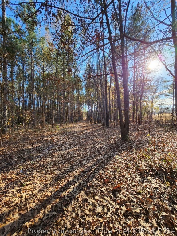 10608 Colliers Chapel Church Road Linden, NC 28356 - Photo 3 of 5 Gallery Image 3