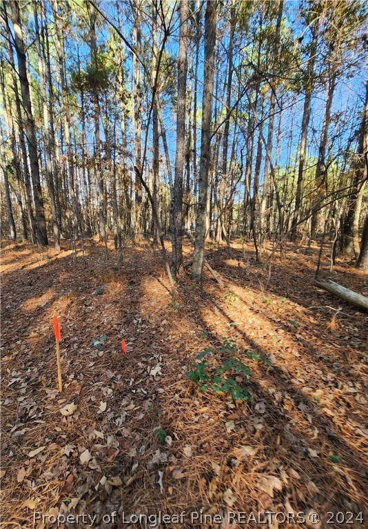 10608 Colliers Chapel Church Road Linden, NC 28356 - Photo 4 of 5 Gallery Image 4