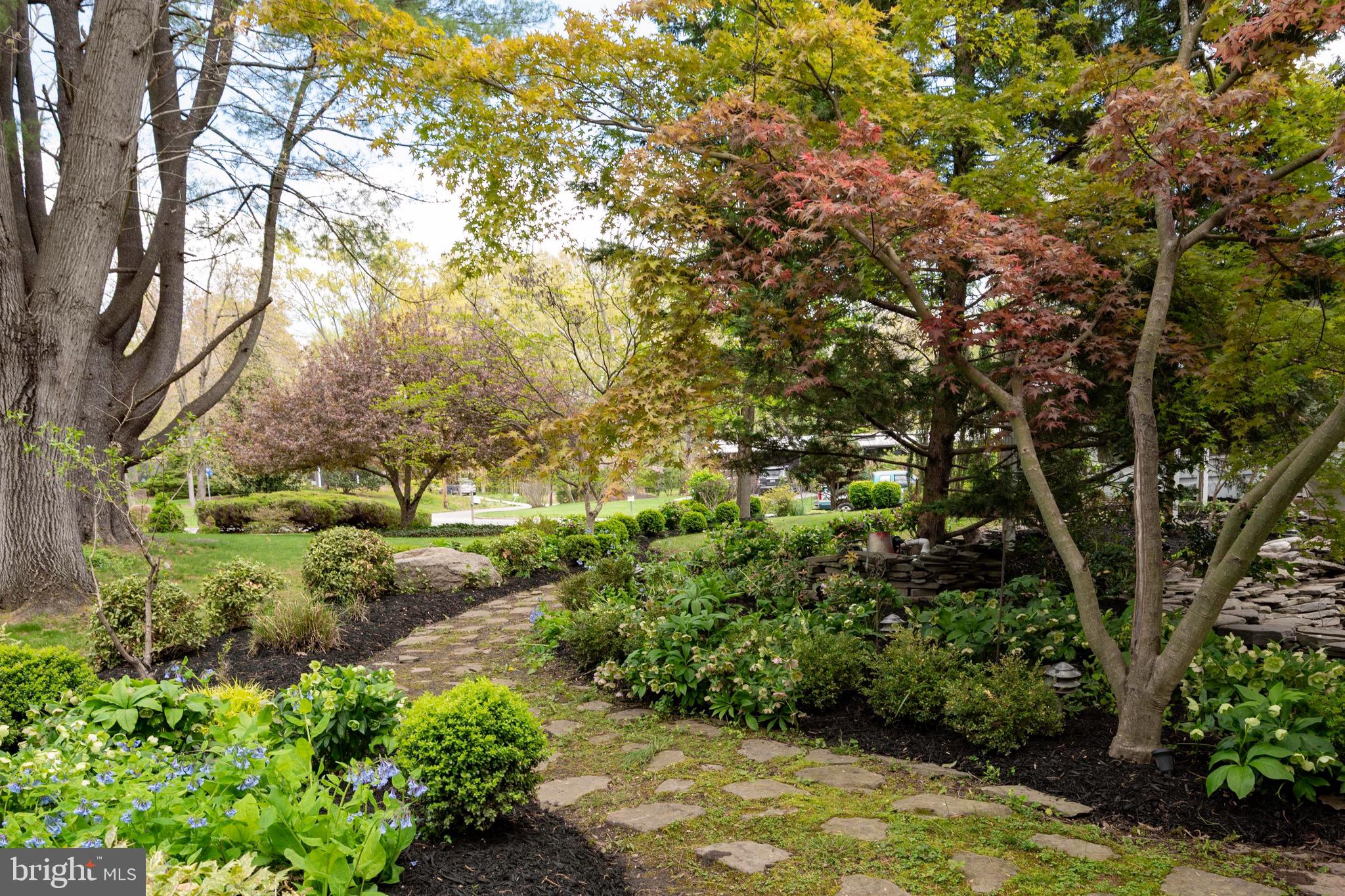 7800 Elba Road Alexandria, VA 22306 - Photo 54 of 58 Beautiful Landscaping