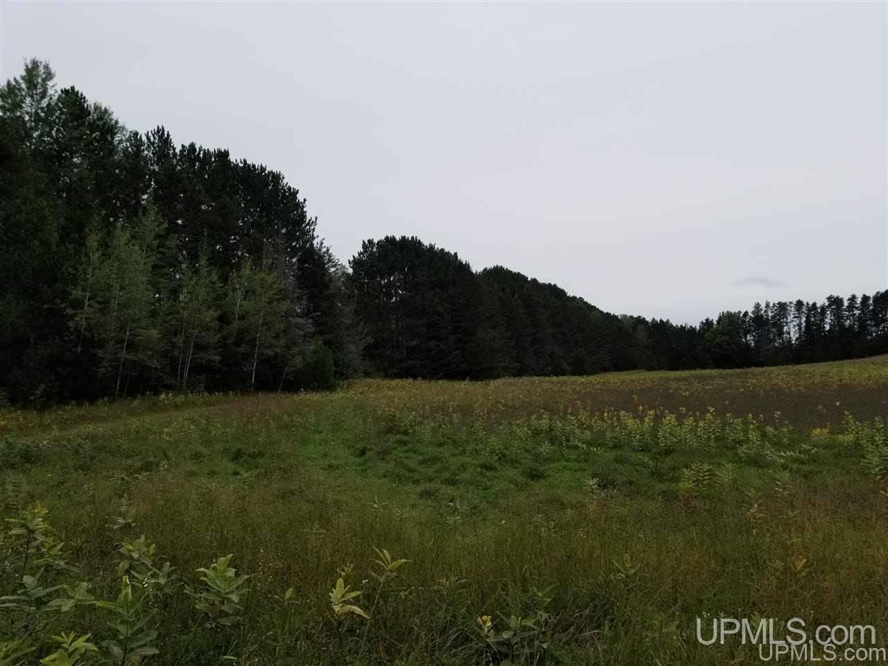 220 Kaski Road Crystal Falls, MI 49920 - Photo 49 of 50 Gallery Image 49
