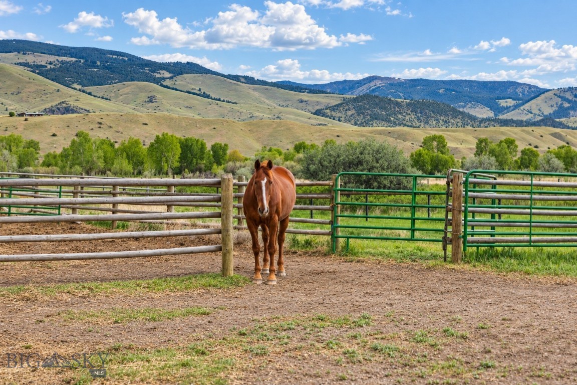 65 Emigrant Meadows Road Emigrant, MT 59065 - Photo 5 of 45 outdoor riding arena and fully fenced for horses