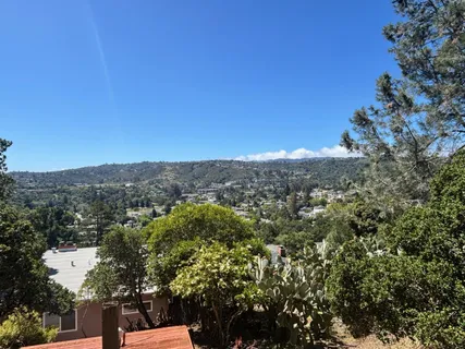 a view of a city with lush green forest