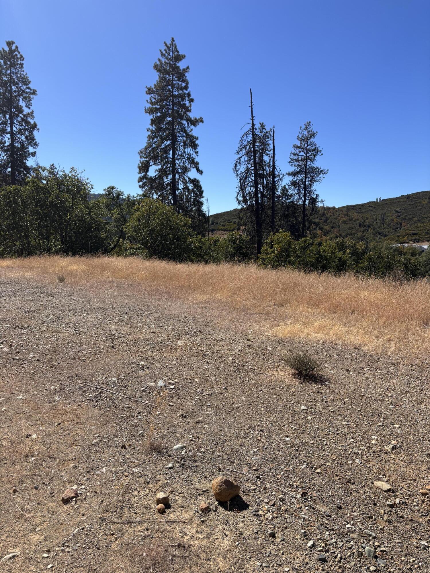 775 Barker Valley Road Hayfork, CA 96041 - Photo 28 of 41 road