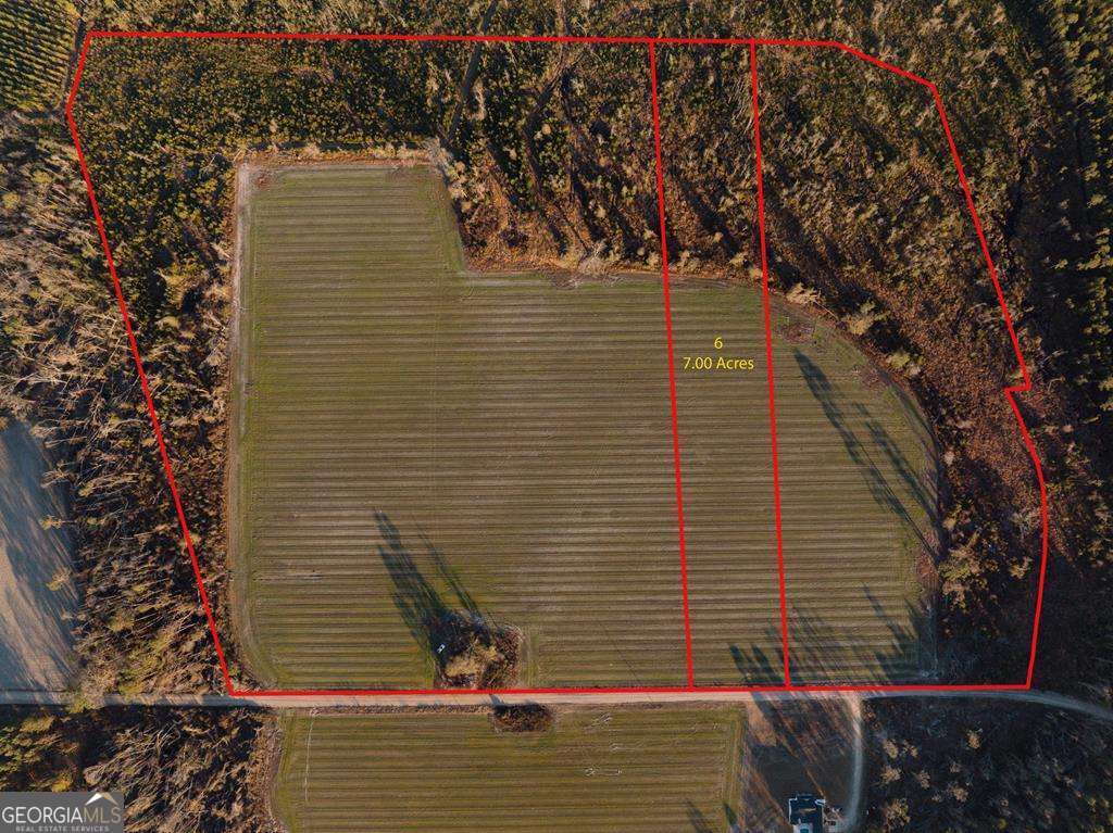 0 Chesapeake Road, Unit LOT 6) Alma, GA 31510 - Photo 1 of 1