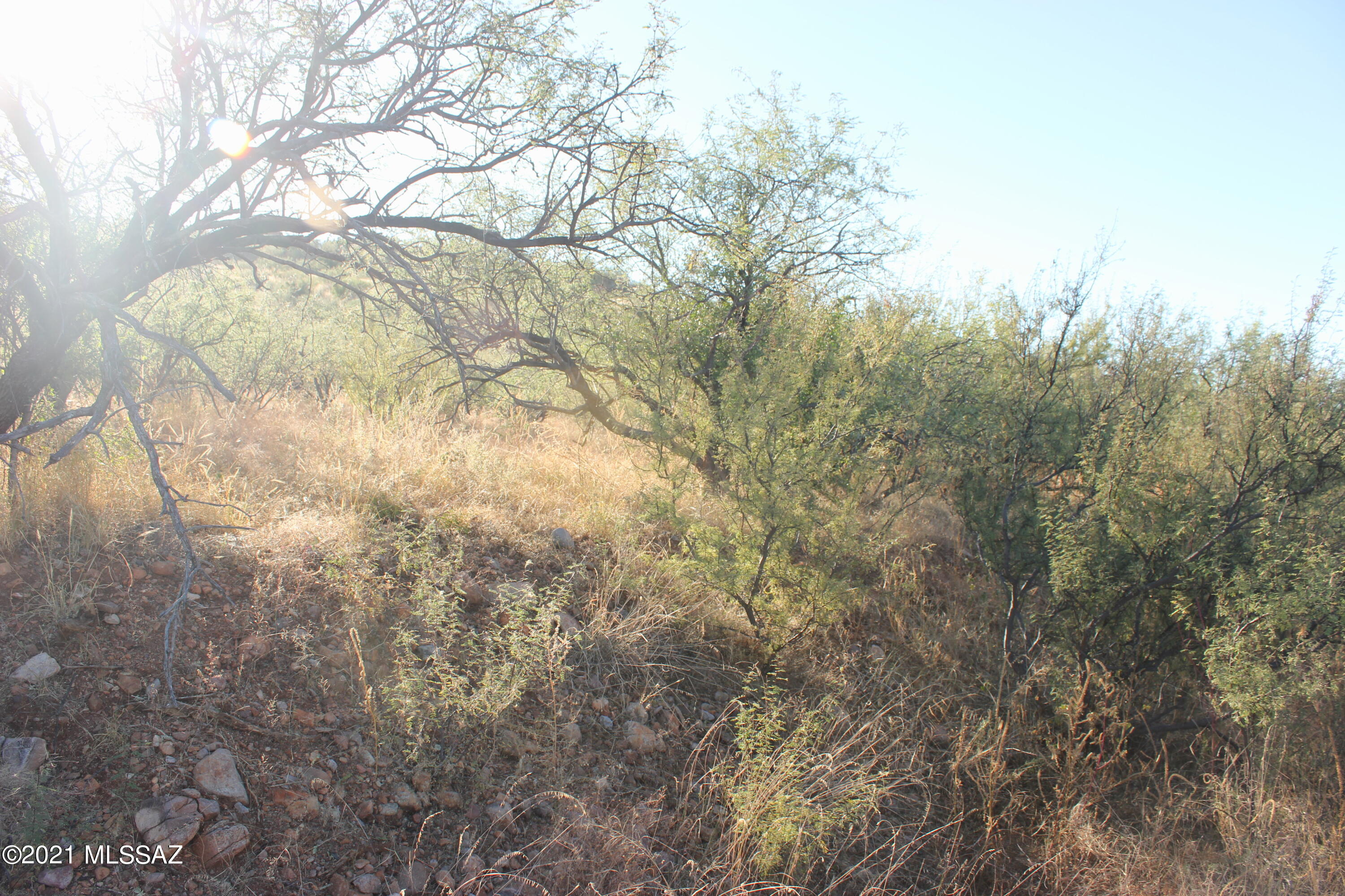 115 Via Finlandia, Unit 49 Rio Rico, AZ 85648 - Photo 3 of 4