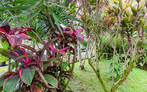 $280,000 | 360 Kauila Street, Unit 201, Hilo, HI 96720