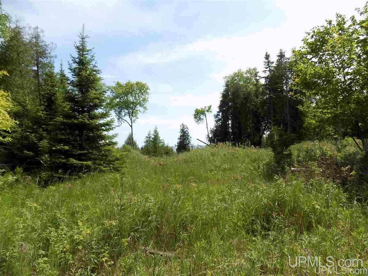 Tbd Miller Point Road Manistique, MI 49854 - Photo 2 of 18