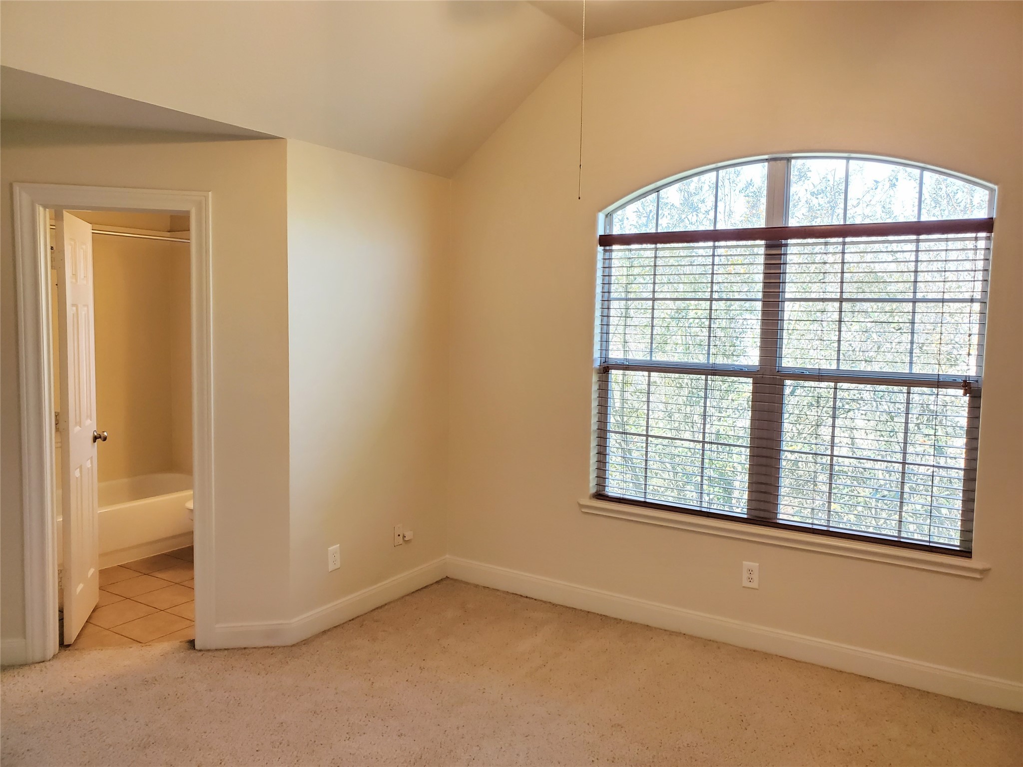 326 Malone Street Houston, TX 77007 - Photo 24 of 25 an empty room with a empty space and windows