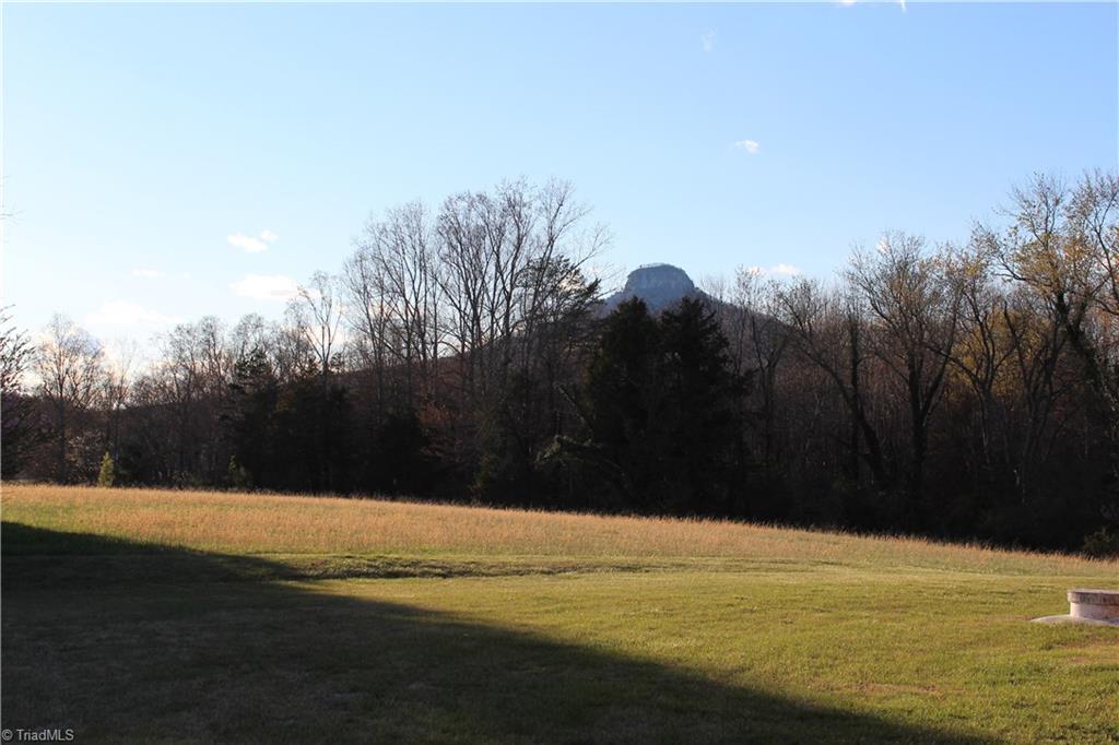 1122 Perch Road Pinnacle, NC 27043 - Photo 3 of 27