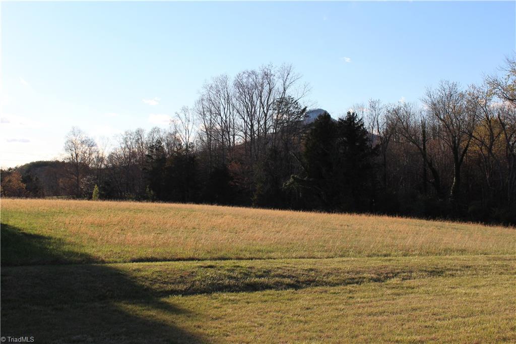 1122 Perch Road Pinnacle, NC 27043 - Photo 4 of 27