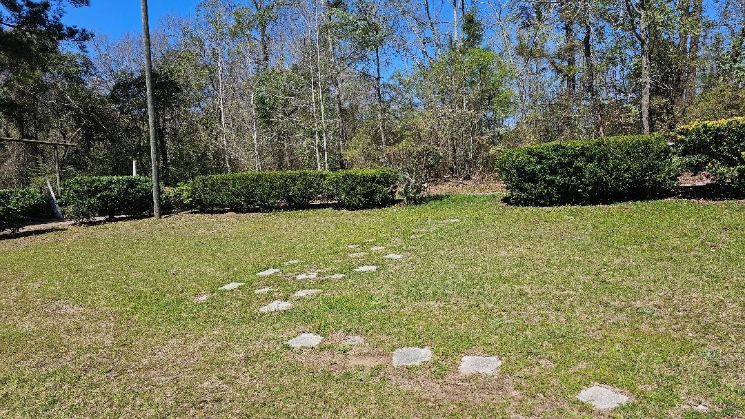 245 Jack Scott Road Quincy, FL 32352 - Photo 8 of 10