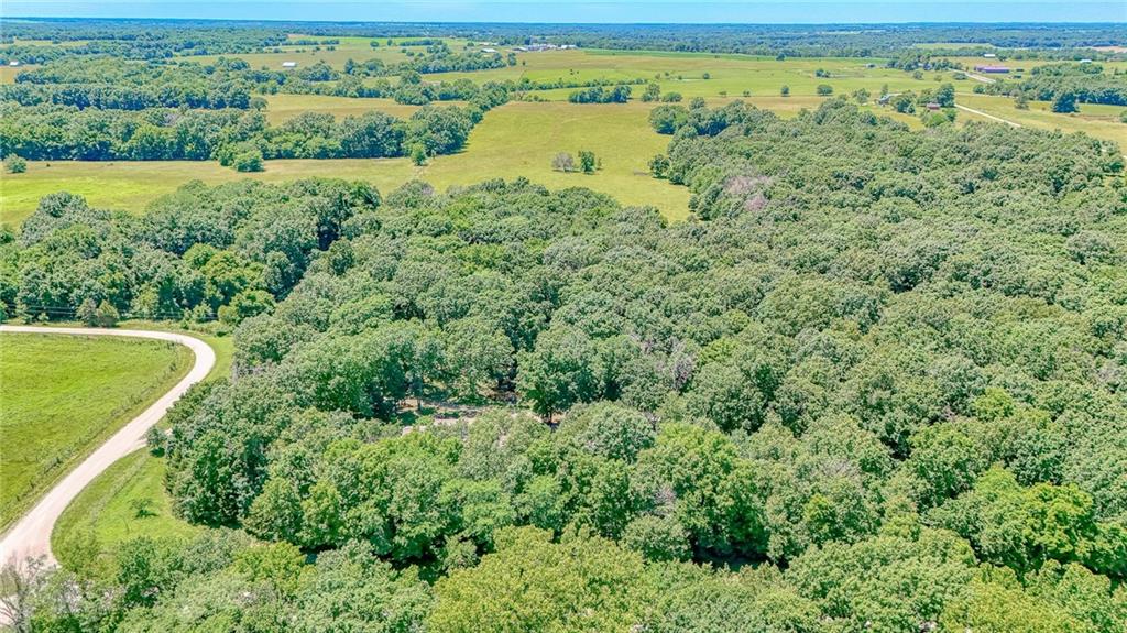 305 Southwest 600th Road Warrensburg, MO 64093 - Photo 37 of 41