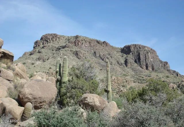 $24,947 | 35 South 17 Mile Road, Yucca, AZ 86438