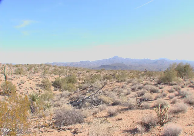a view of a dry yard and mountain