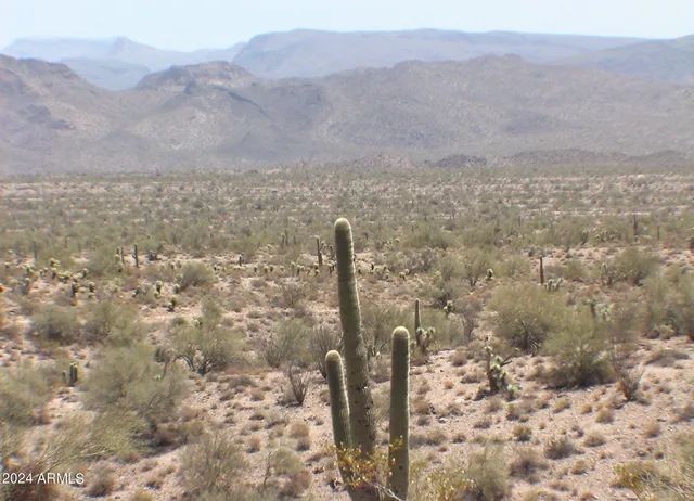 a view of a mountain in the distance in a field