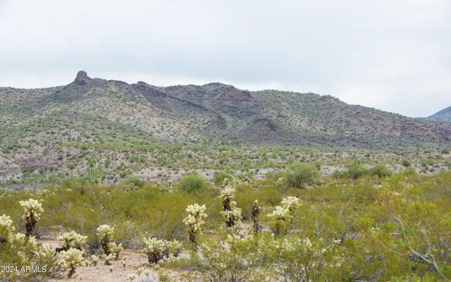 a view of an lake and mountain