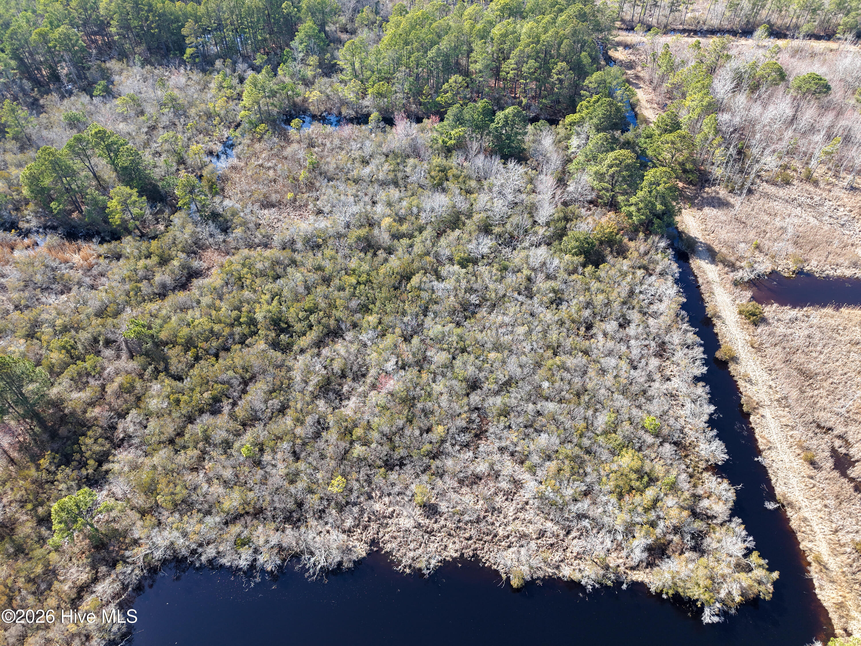 959 Waterlily Road Coinjock, NC 27923 - Photo 21 of 24