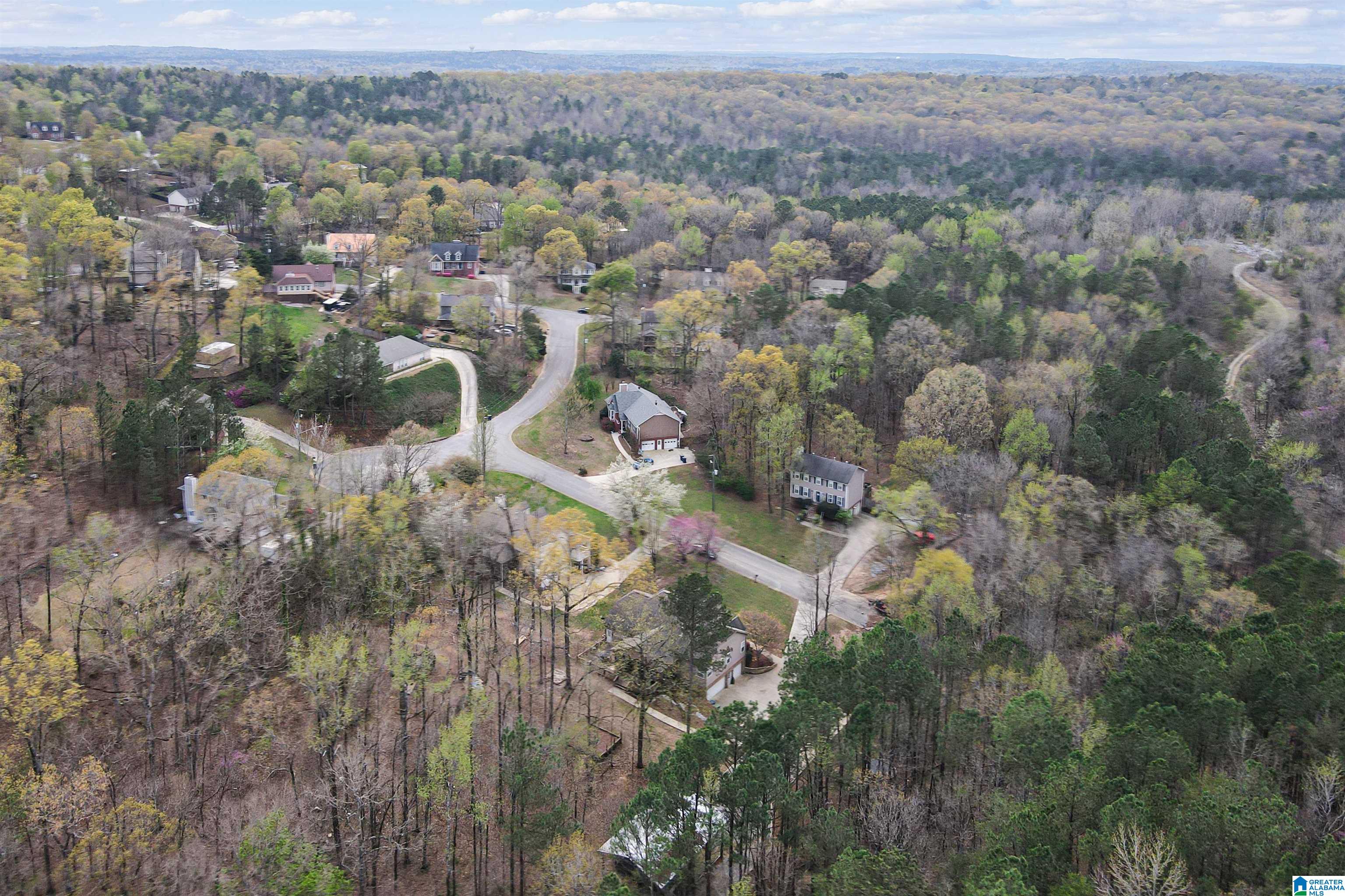 424 Forest Hills Place Alabaster, AL 35007 - Photo 60 of 65