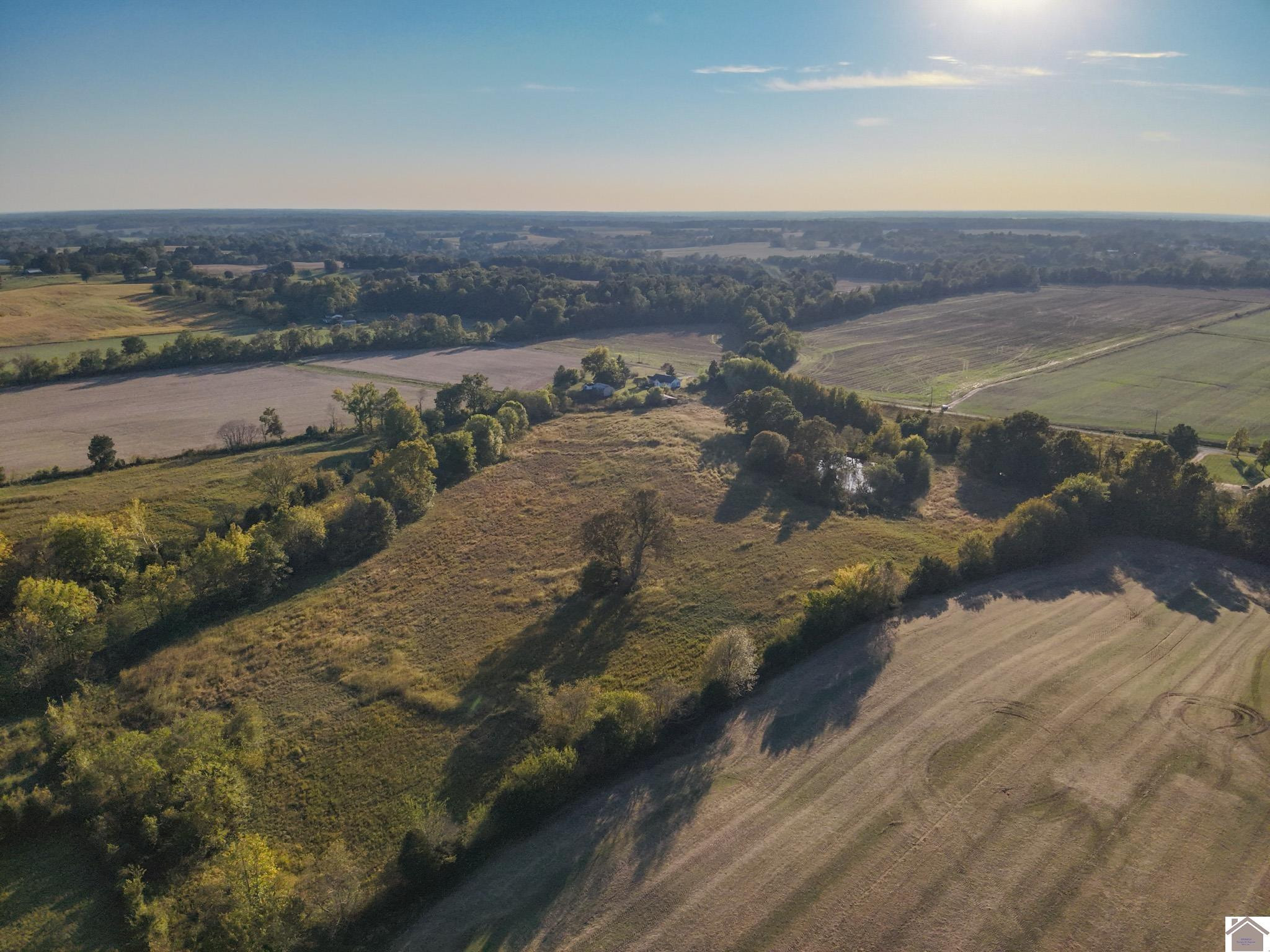 0 Wingo Road Wingo, KY 42088 - Photo 14 of 18 Photo 14