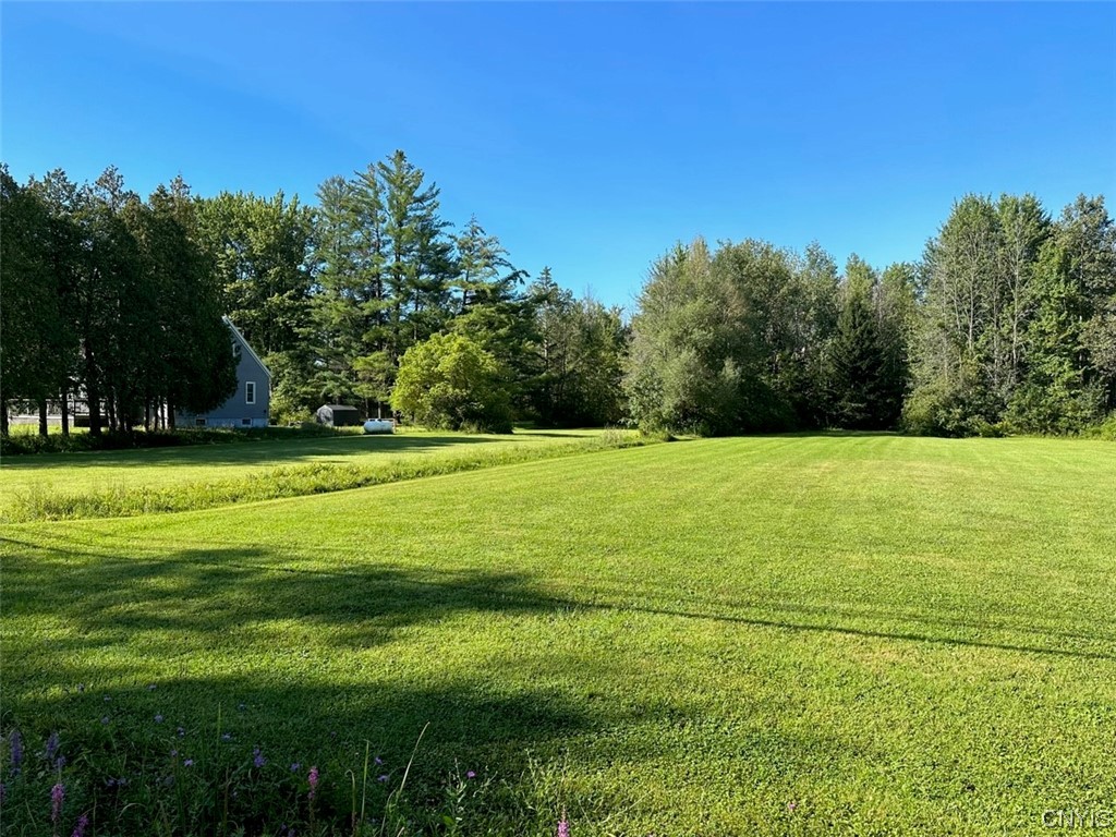 1061 Williams Street Oneida, NY 13421 - Photo 11 of 26 2.25 acre building lot included