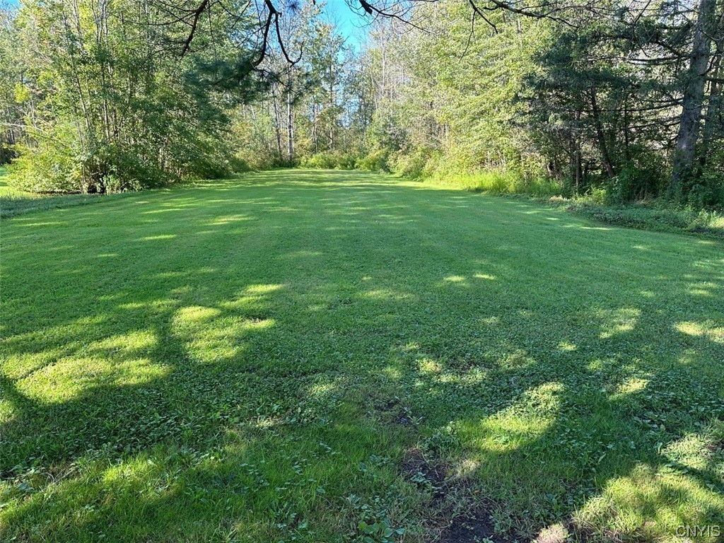 1061 Williams Street Oneida, NY 13421 - Photo 8 of 26 Beautiful, private rear yard