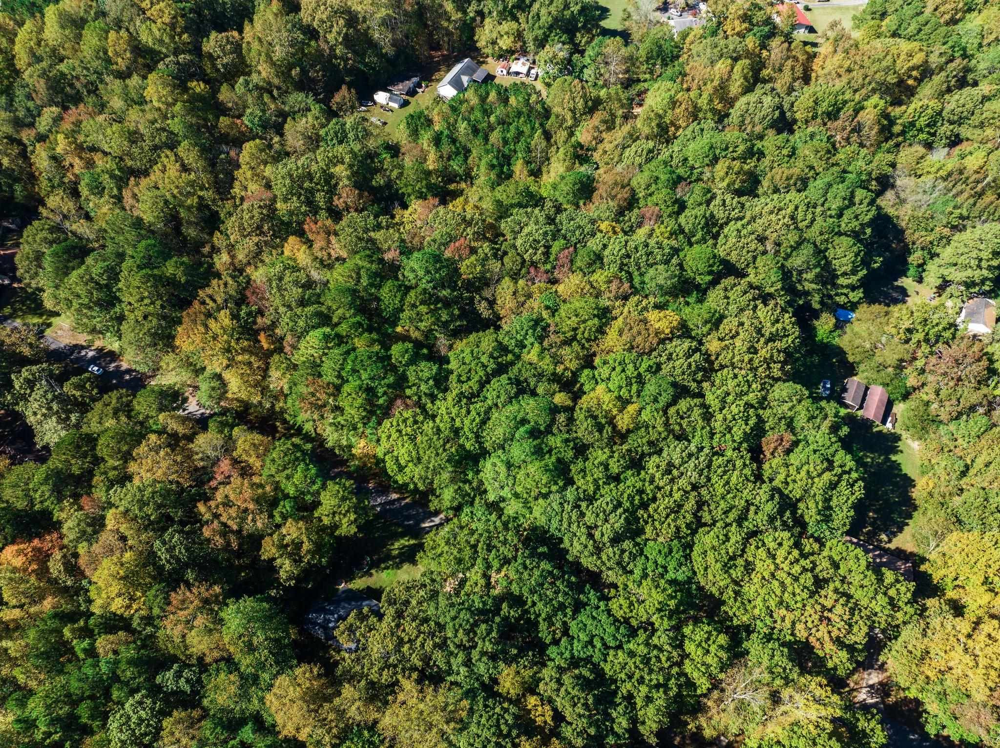 0 Quincy Downs Road Zebulon, NC 27597 - Photo 4 of 11 Photo 4