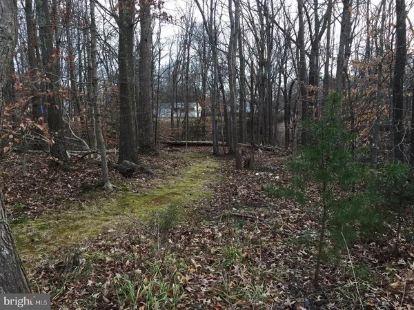 a view of a yard with trees
