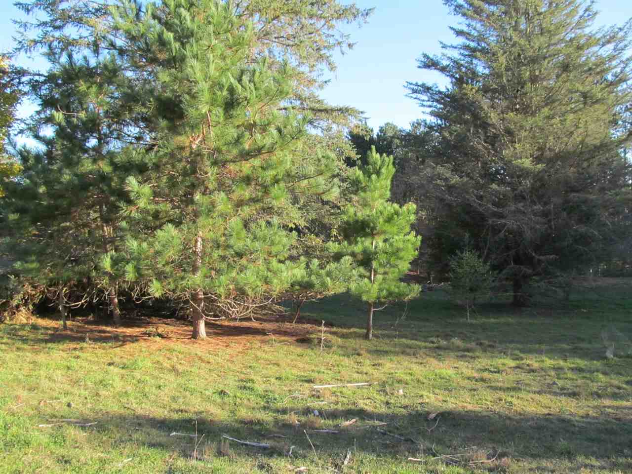 7290 East 50 Road Cadillac, MI 49601 - Photo 18 of 33 1854359-17.JPG
