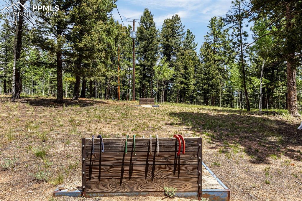 53 Lake Circle Divide, CO 80814 - Photo 19 of 35