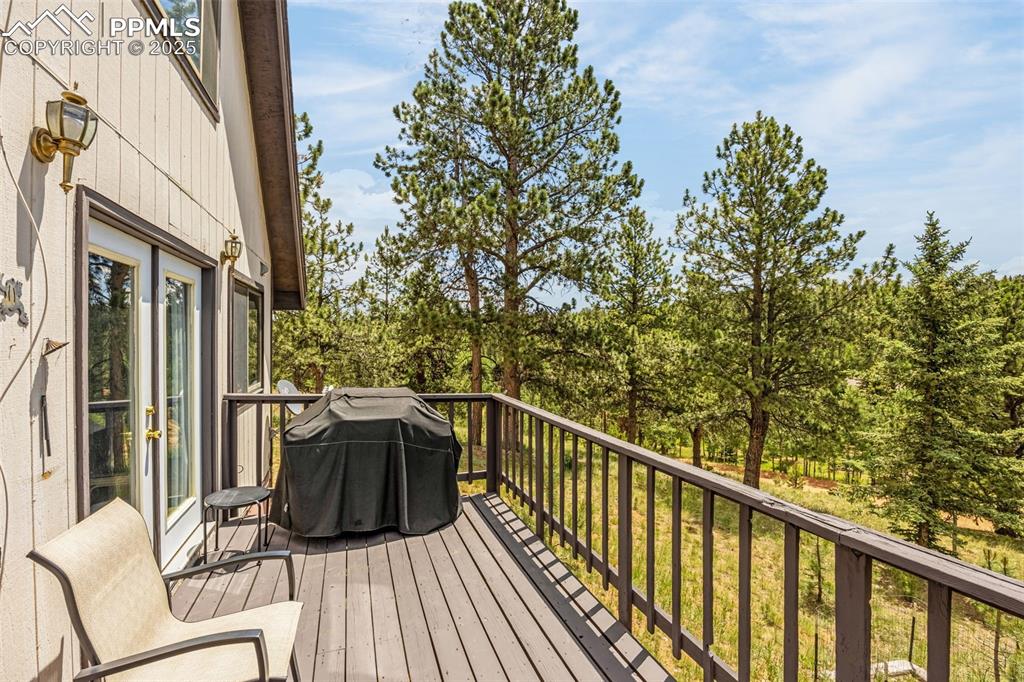 53 Lake Circle Divide, CO 80814 - Photo 20 of 35