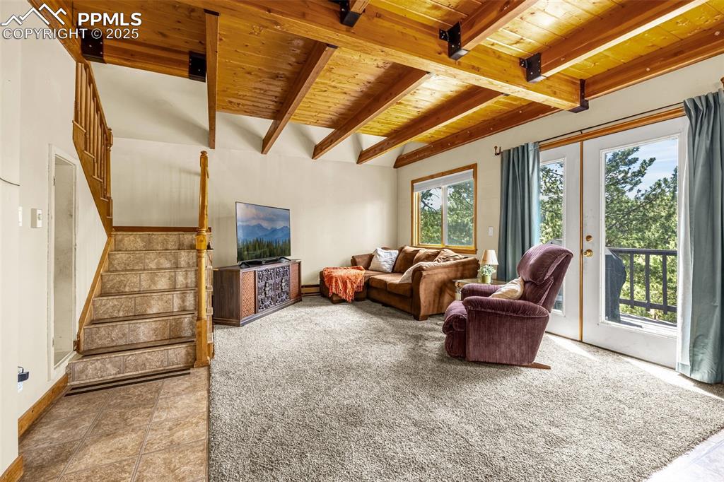 53 Lake Circle Divide, CO 80814 - Photo 2 of 35