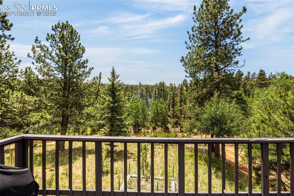 53 Lake Circle Divide, CO 80814 - Photo 22 of 35