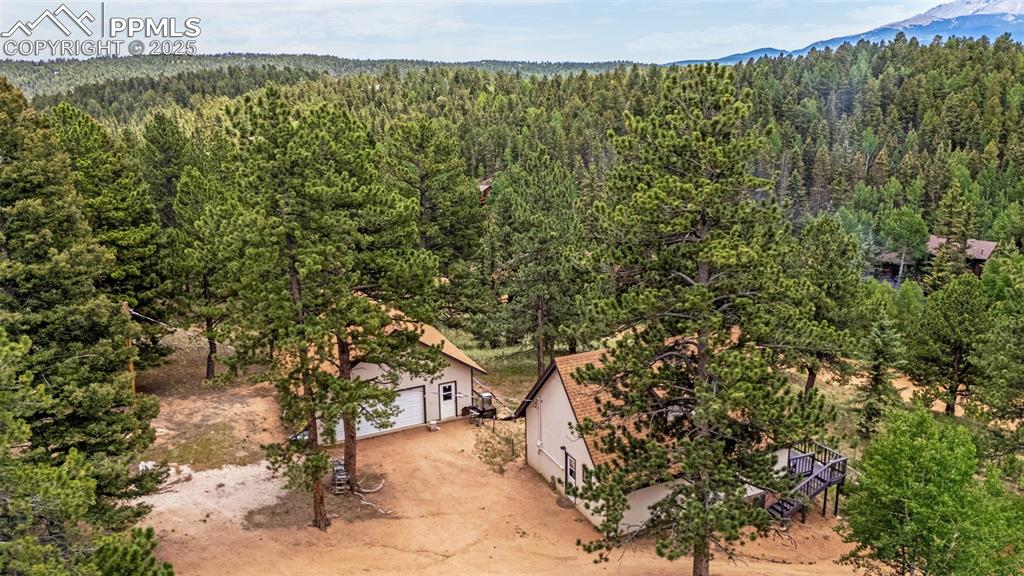 53 Lake Circle Divide, CO 80814 - Photo 23 of 35