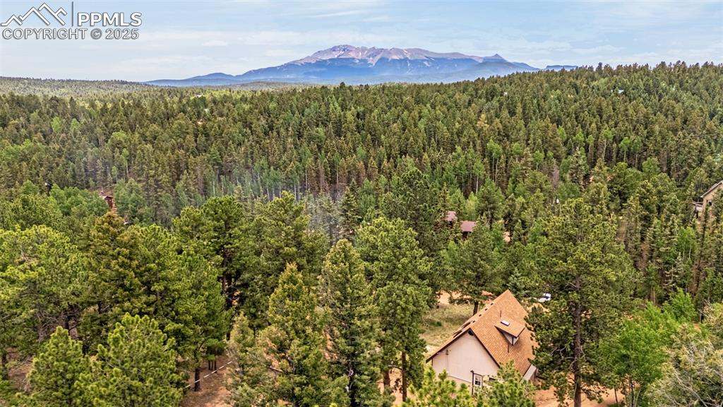 53 Lake Circle Divide, CO 80814 - Photo 24 of 35