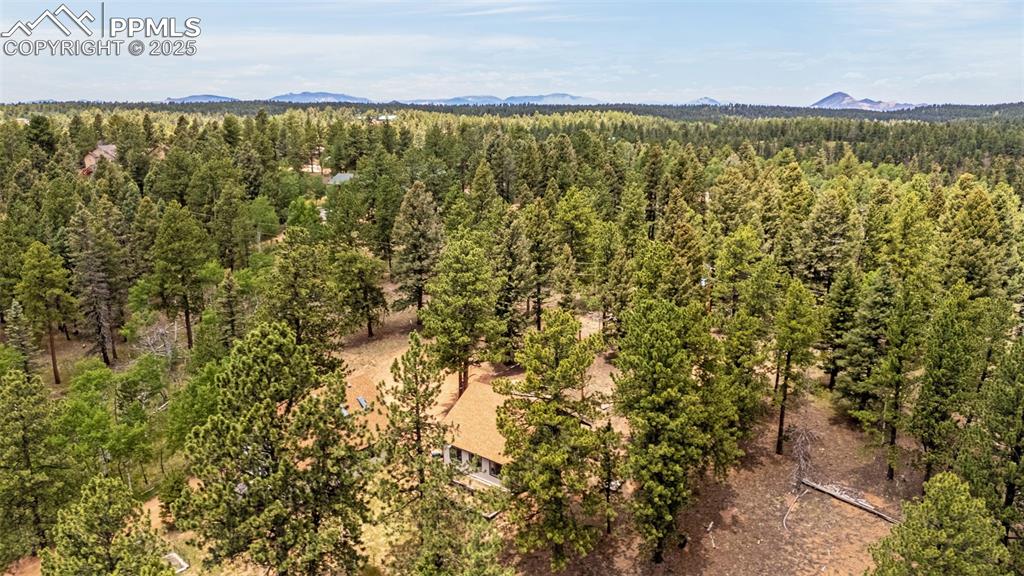 53 Lake Circle Divide, CO 80814 - Photo 25 of 35