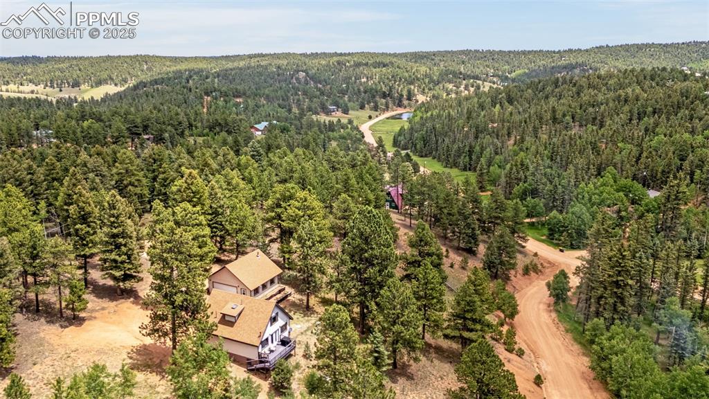 53 Lake Circle Divide, CO 80814 - Photo 26 of 35