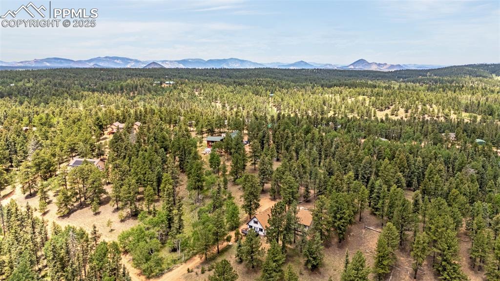 53 Lake Circle Divide, CO 80814 - Photo 27 of 35