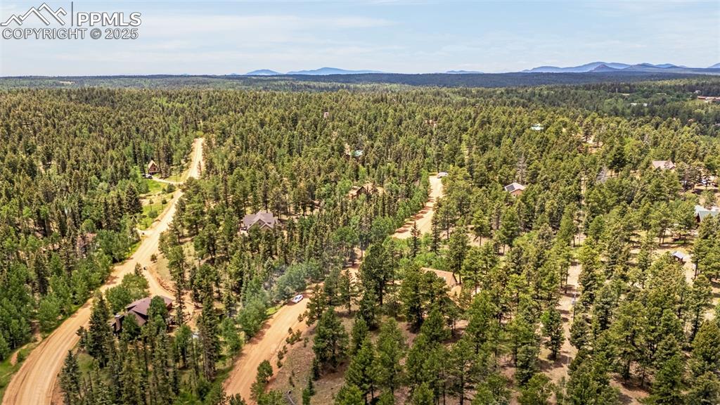 53 Lake Circle Divide, CO 80814 - Photo 28 of 35