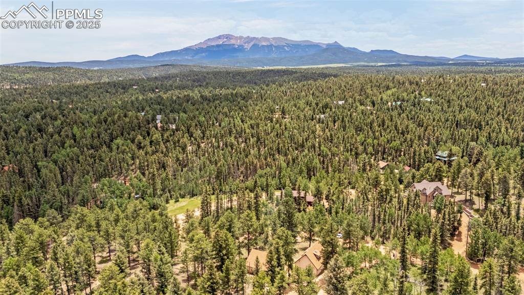 53 Lake Circle Divide, CO 80814 - Photo 29 of 35