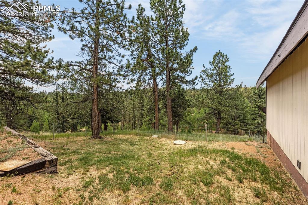 53 Lake Circle Divide, CO 80814 - Photo 31 of 35