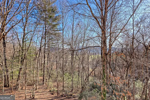 a view of backyard with a deck and wooden floor