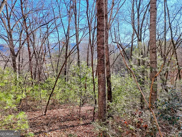 a view of a wooden fence